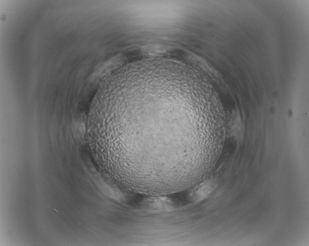 X0000072550427200607141257