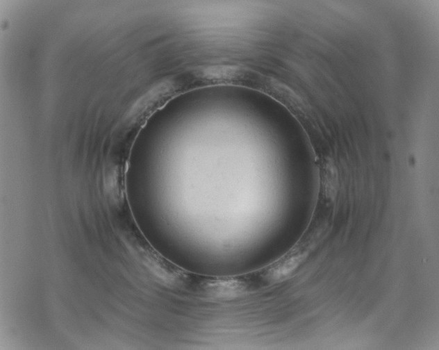 X0000072550428200607141257