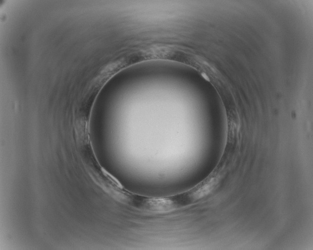 X0000072550429200607141257