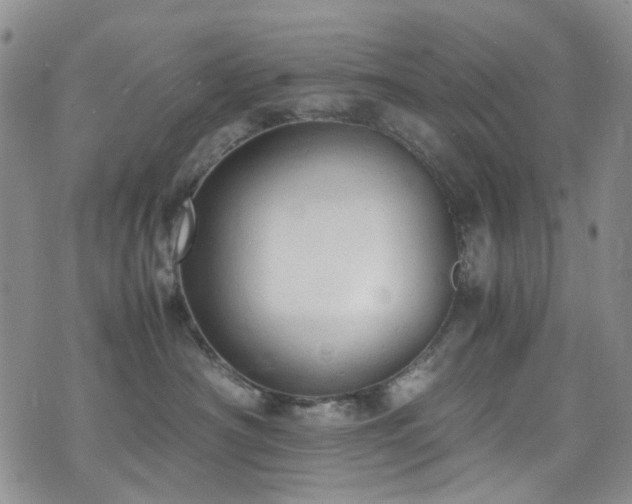 X0000072550430200607141257