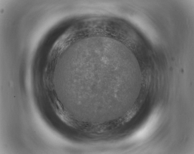 X0000072550431200607141257