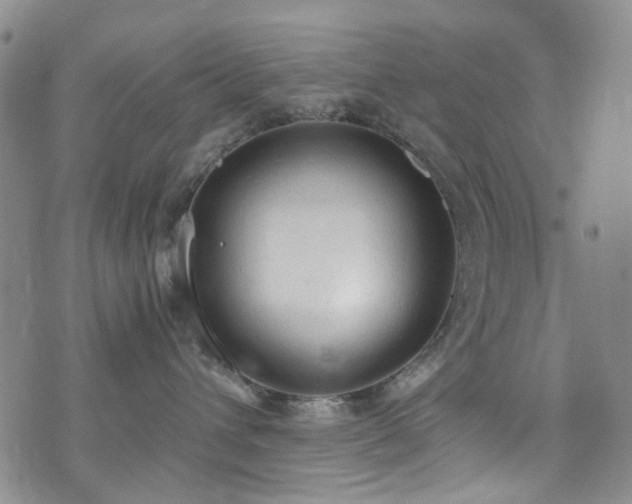 X0000072550432200607141257