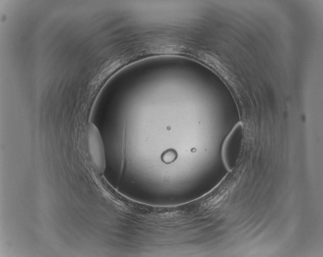 X0000072550433200607141256