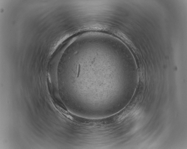 X0000072550434200607141256