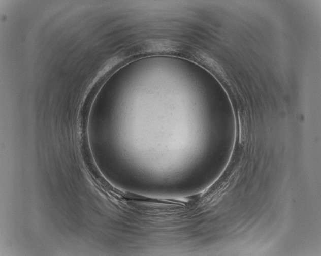 X0000072550435200607141256