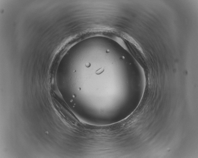 X0000072550436200607141256