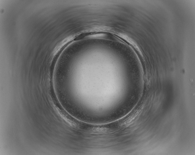 X0000072550437200607141256