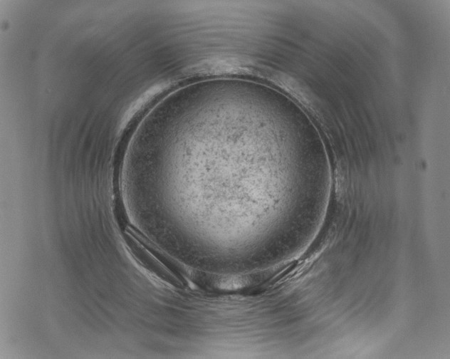 X0000072550438200607141256