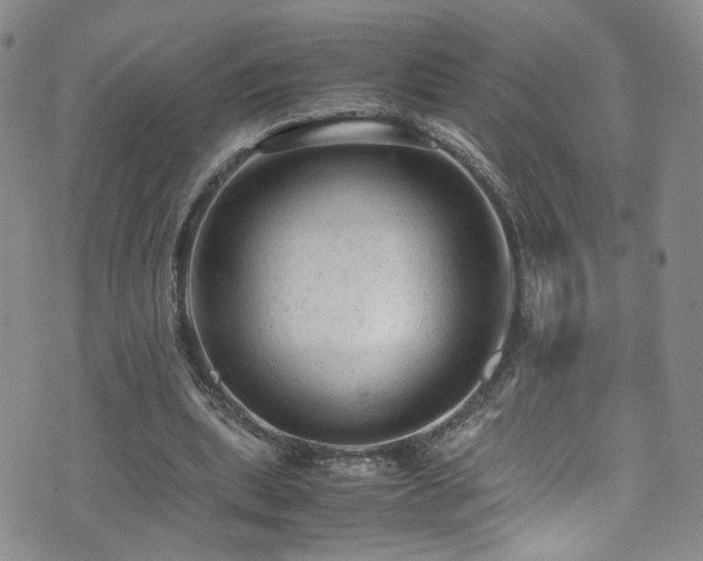 X0000072550439200607141256