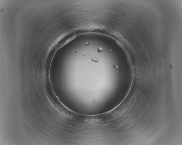 X0000072550440200607141256