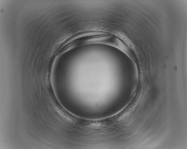 X0000072550441200607141256