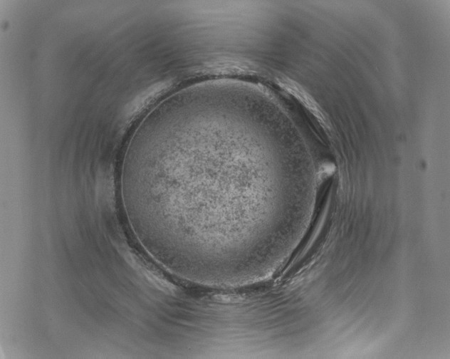 X0000072550442200607141256