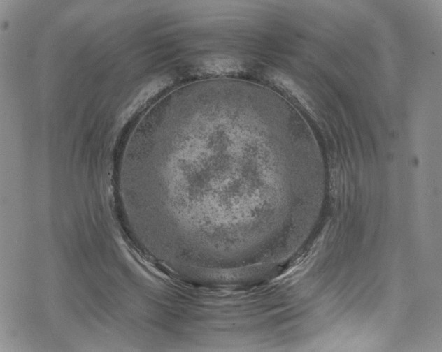 X0000072550443200607141256