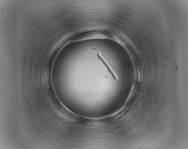 X0000072550444200607141256