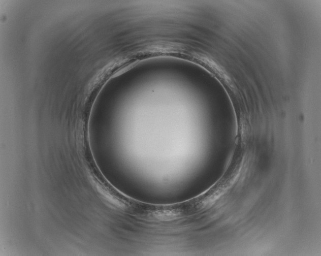 X0000072550445200607141256