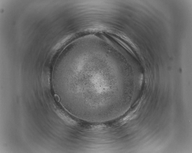 X0000072550446200607141256