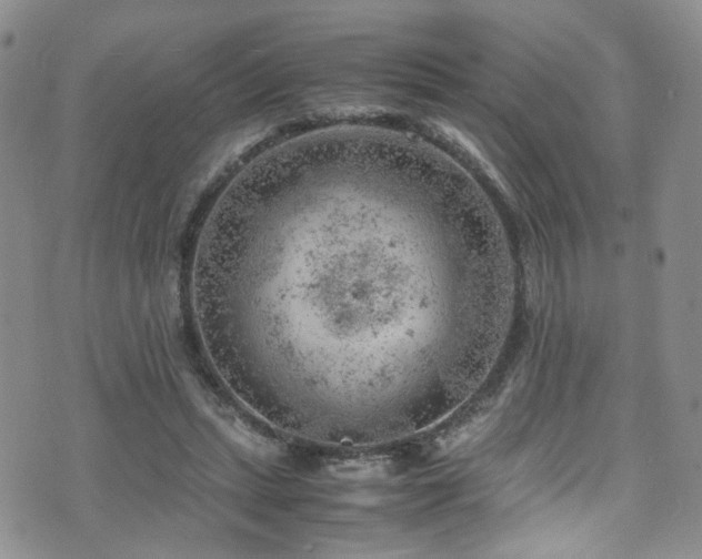 X0000072550447200607141257