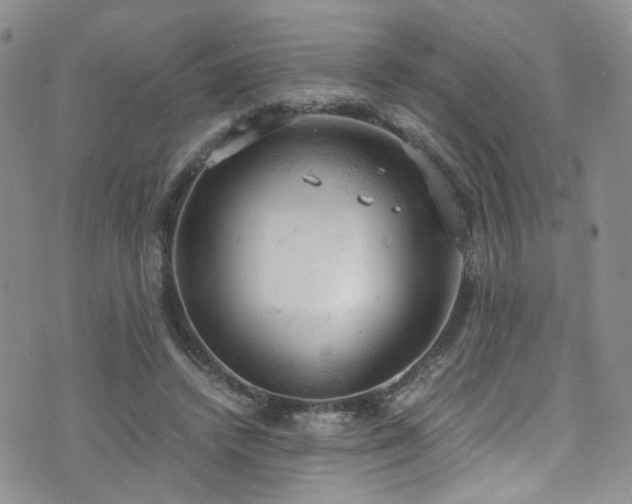 X0000072550448200607141257