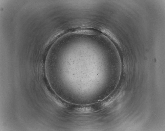 X0000072550449200607141257