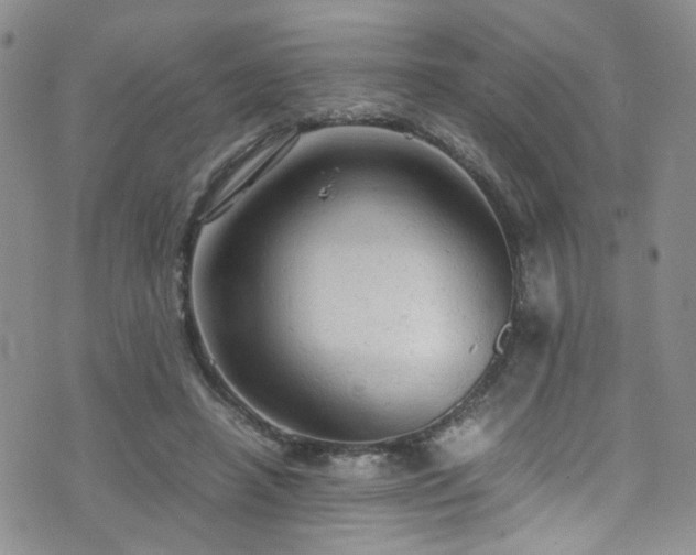 X0000072550450200607141257