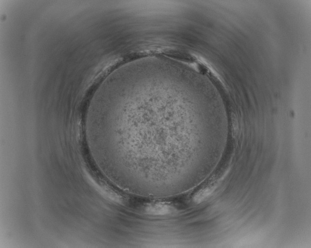 X0000072550451200607141257