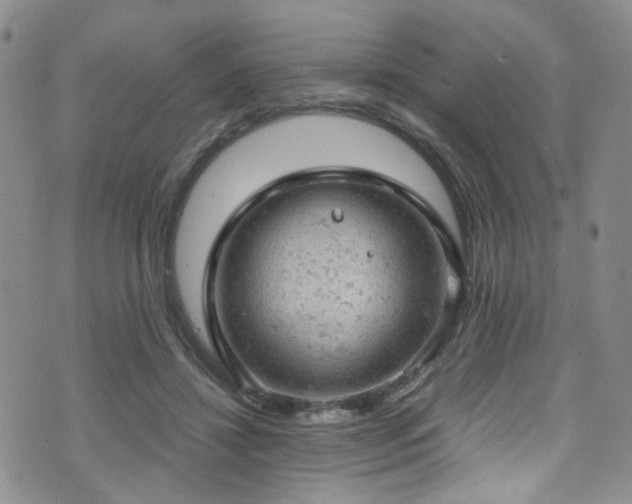 X0000072550452200607141257