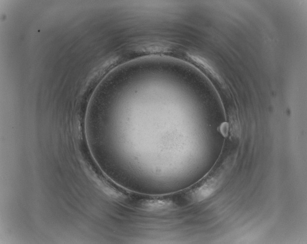 X0000072550453200607141257