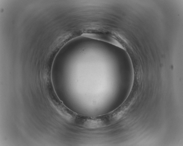 X0000072550455200607141257