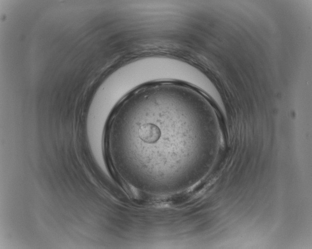 X0000072550456200607141257