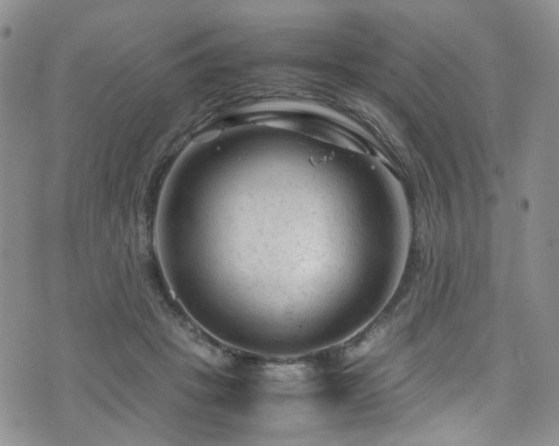 X0000072550457200607141257