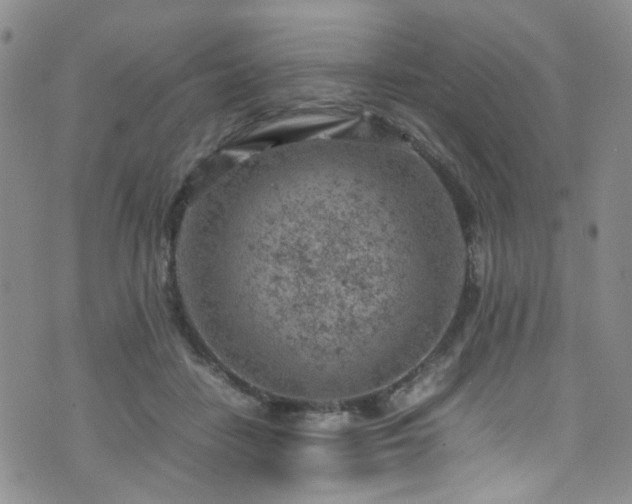 X0000072550458200607141257