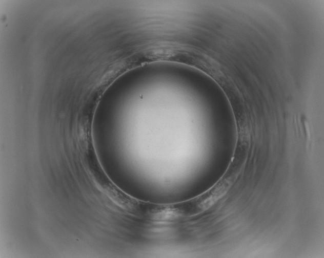 X0000072550460200607141257