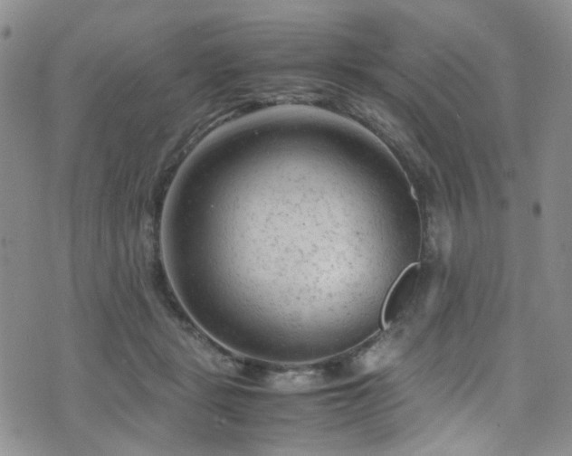 X0000072550461200607141257