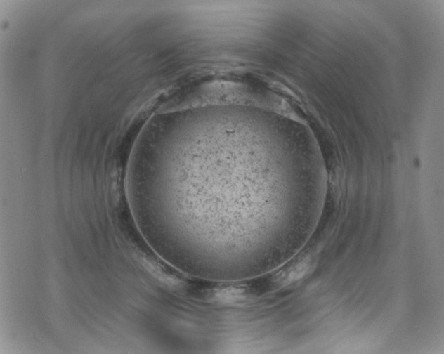 X0000072550462200607141257