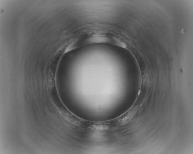 X0000072550464200607141257