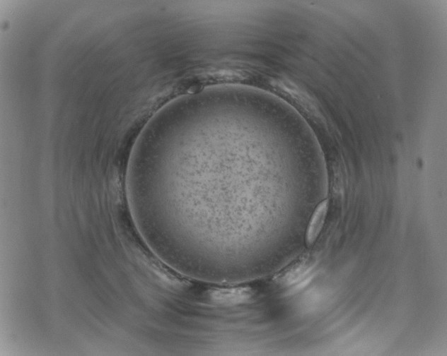 X0000072550465200607141257