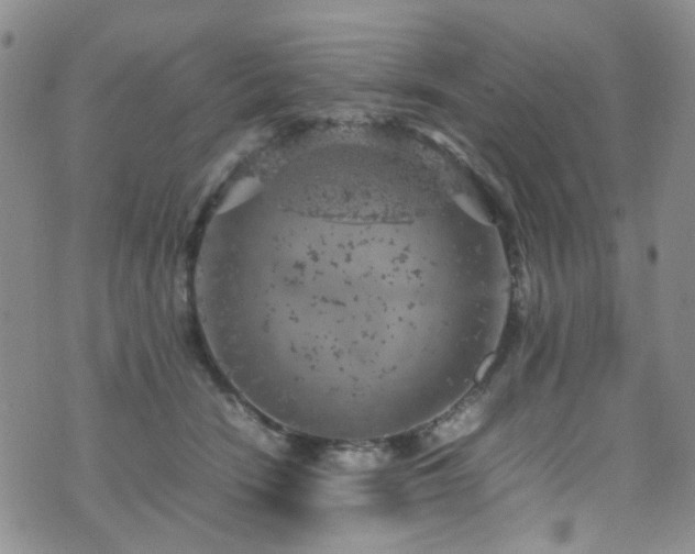 X0000072550466200607141257