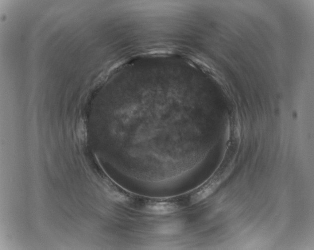 X0000072550467200607141257