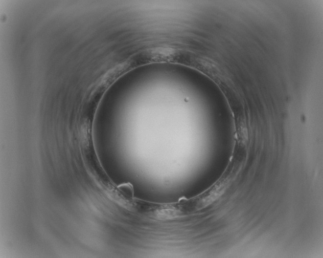 X0000072550468200607141257