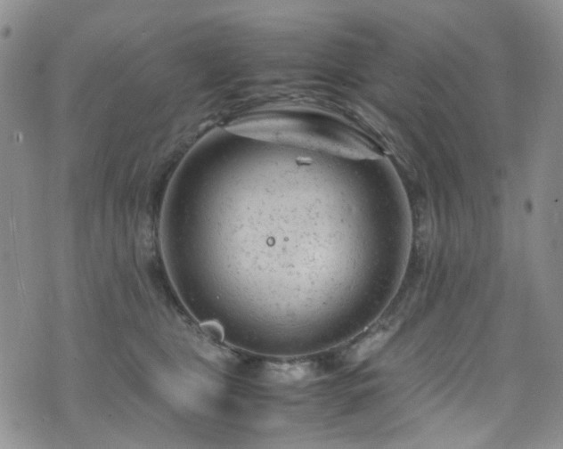 X0000072550469200607141257