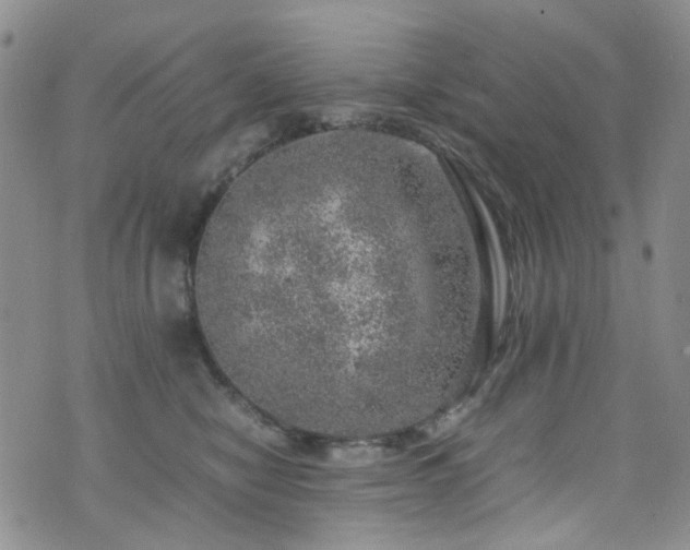 X0000072550470200607141257