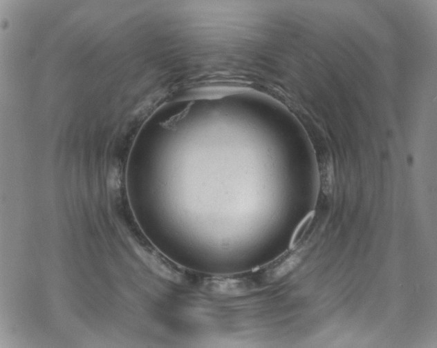 X0000072550472200607141257