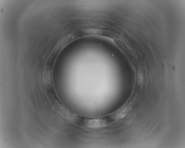 X0000072550473200607141257