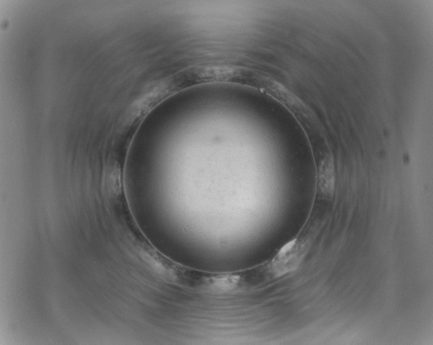 X0000072550474200607141257