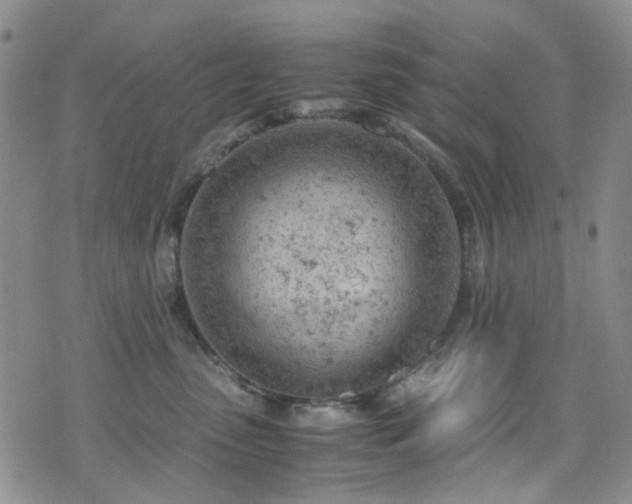 X0000072550475200607141257