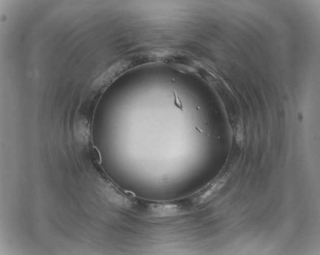 X0000072550476200607141257