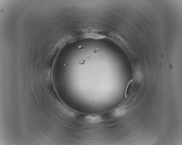 X0000072550477200607141257