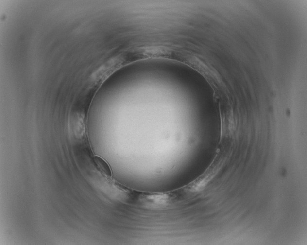 X0000072550478200607141257