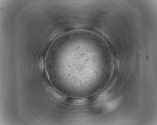 X0000072550479200607141257