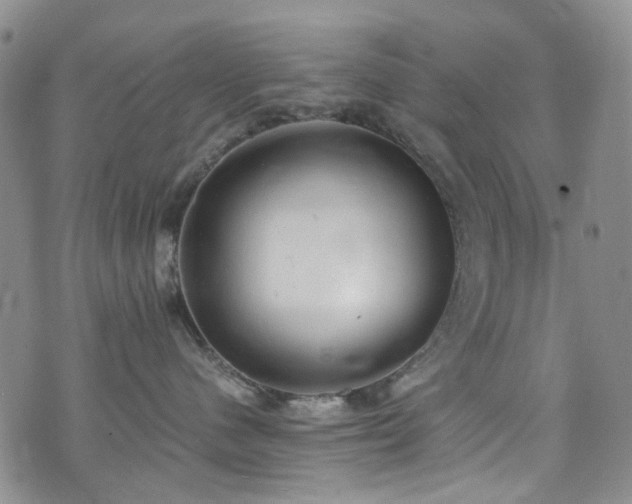 X0000072550480200607141257